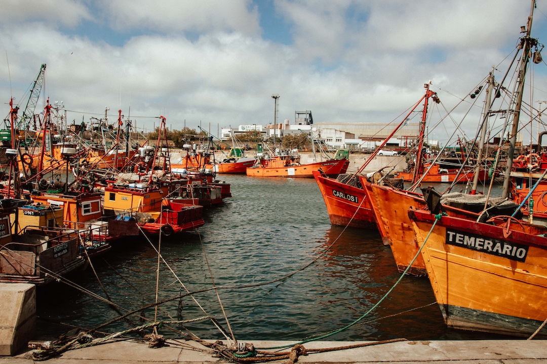 Barcos pesqueros en el Puerto de Mar del Plata